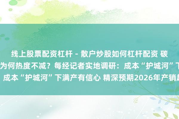 线上股票配资杠杆 - 散户炒股如何杠杆配资 碳酸锂急涨急跌 上游扩产为何热度不减？每经记者实地调研：成本“护城河”下满产有信心 精深预期2026年产销趋于均衡